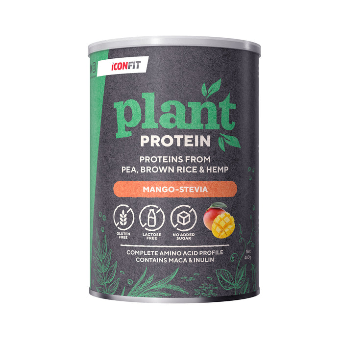 ICONFIT Plant Protein (480g)